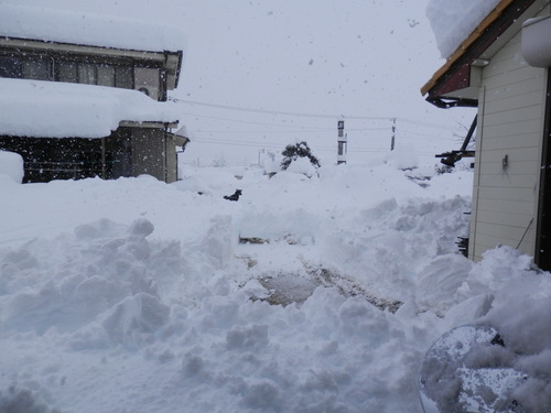 金物の雪止と瓦の雪止